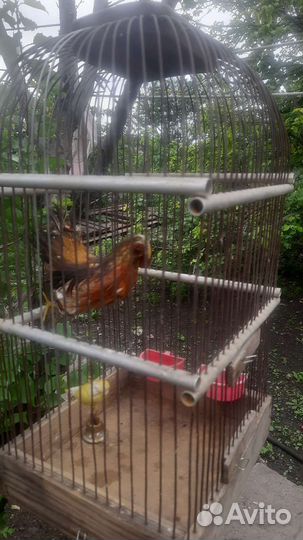 Большая клетка для птиц