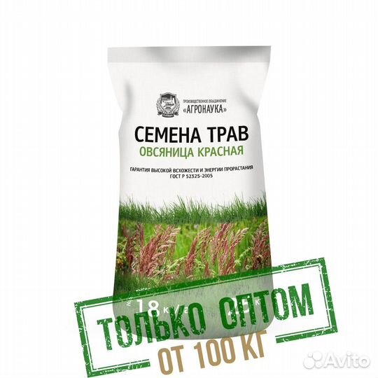 Семена овсяницы красной, сорт 