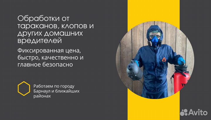 Дезинсекция