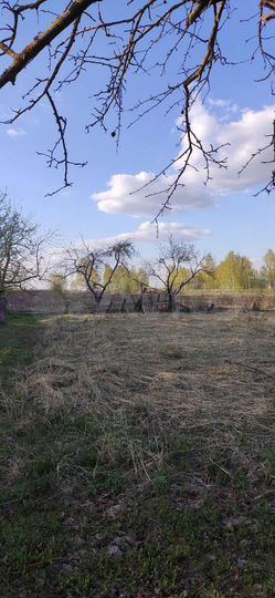 Участок 22 сот. (ИЖС)