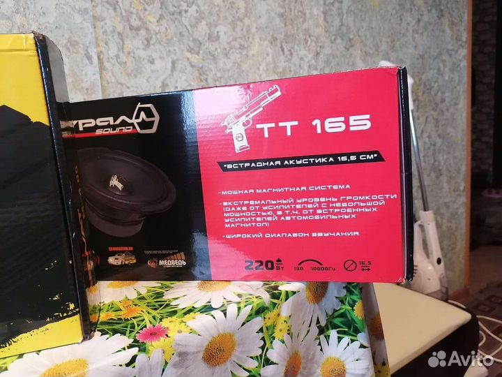 Автоакустика