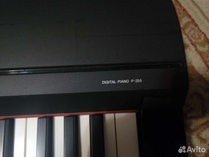 Yamaha p255