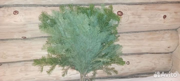 Пихтовые веники для бани