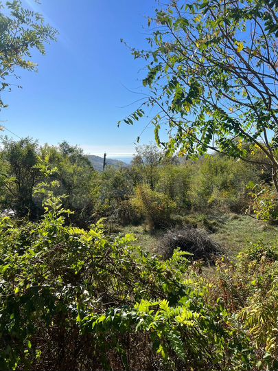 Участок 9 сот. (СНТ, ДНП)