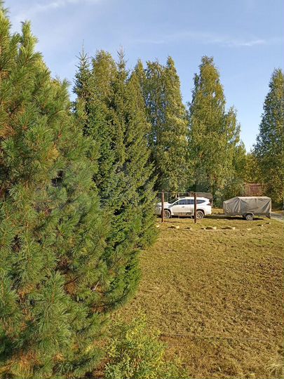 Дача 60 м² на участке 15 сот.