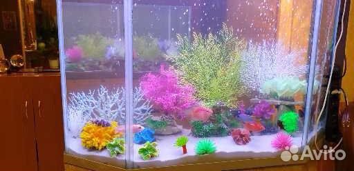 Аквариум 200 Л