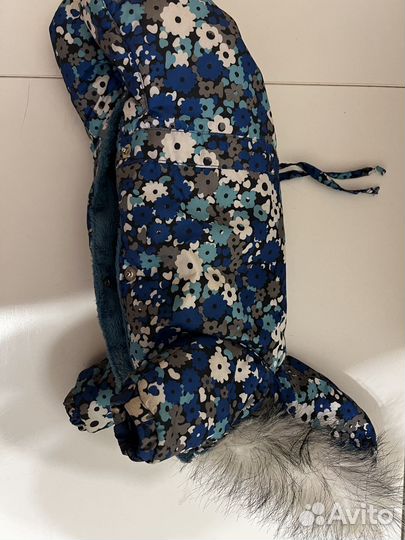 Одежда для собаки