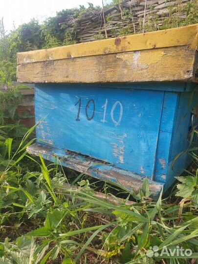 Пчелосемья с ульем