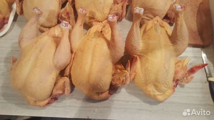 Все для дома и дачи