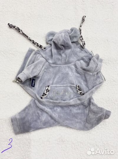 Одежда для собак много