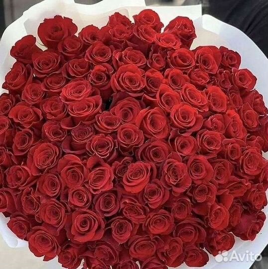 Высокие Розы Гиганты Доставка Круглосуточно