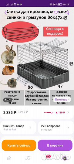 Продам кролика породы карликовый рекс