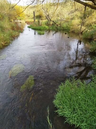 Участок 100 сот. (ИЖС)