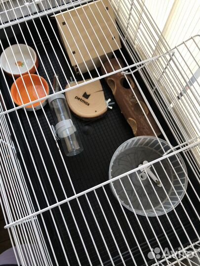 Клетка для джунгарского хомяка