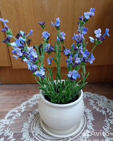 Лаванда из холодного фарфора