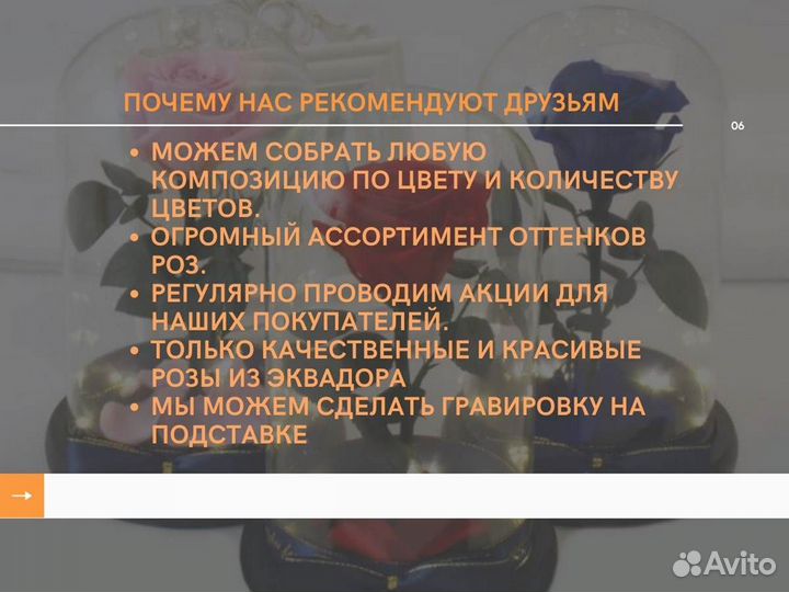 Роза в колбе. Живая