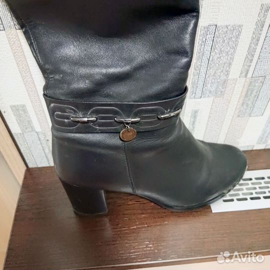 Сапоги женские