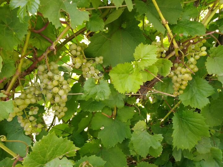 Гараж, 20 м²