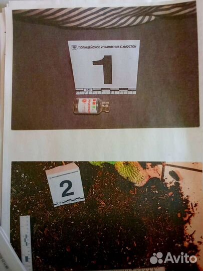 Поймай Убийцу - Антарктика