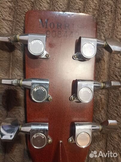Акустическая гитара morris W-60