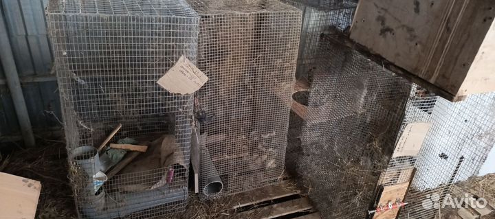 Клетки для кроликов бу можно для другой живности