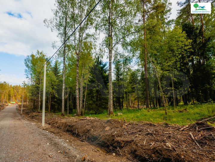 Участок 6 сот. (СНТ, ДНП)