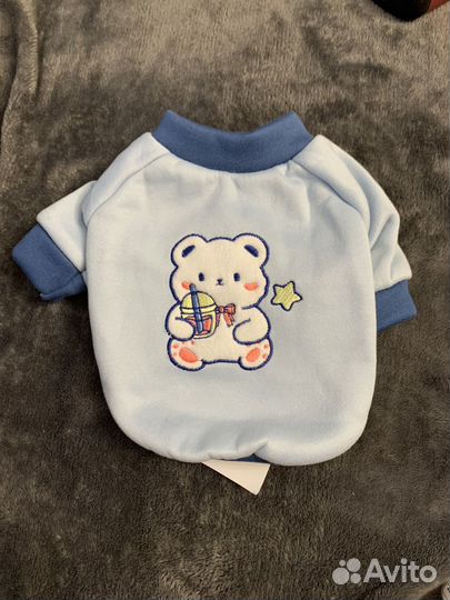 Костюм для собаки