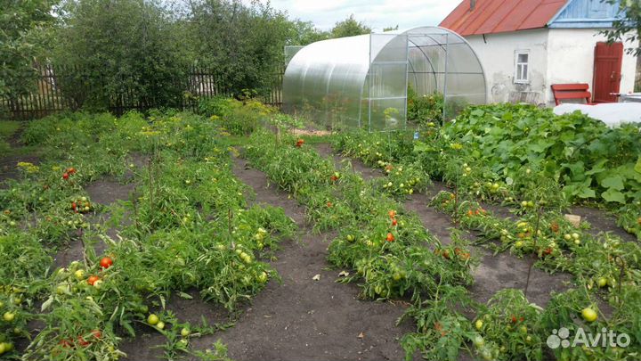 Продам домашнюю консервацию