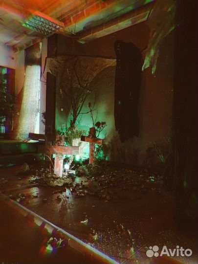 Услуги декоратора, озеленение, фотозоны