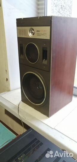 Колонки Вега 25ас 109-1