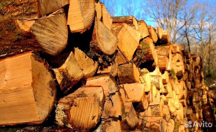 Дрова ольха осина береза