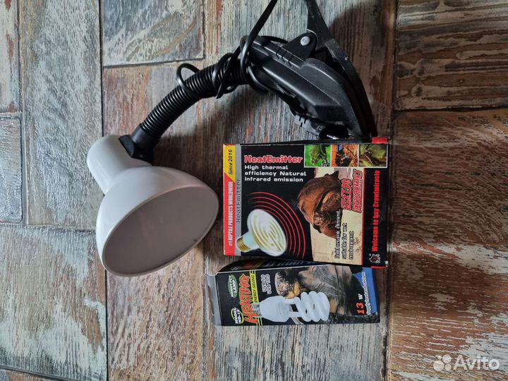 Террариум для рептилий