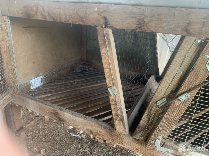 Клетка для кролика