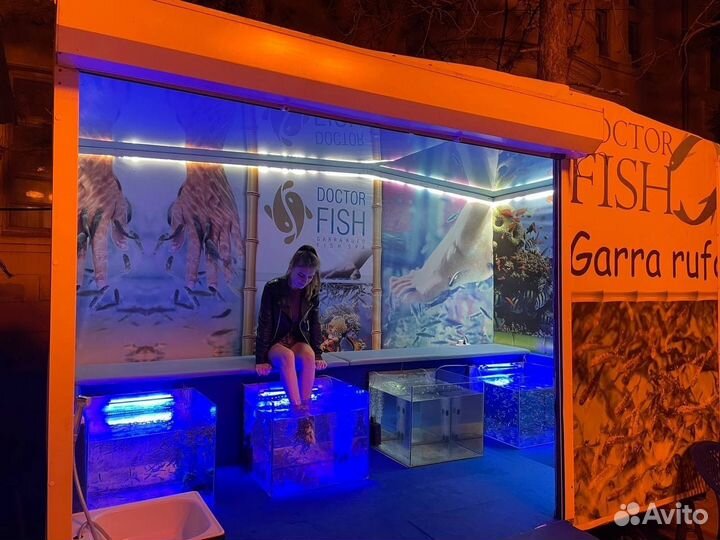 Гарра Руфа — рыбка-доктор