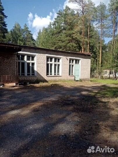 Детский оздоровительный лагерь