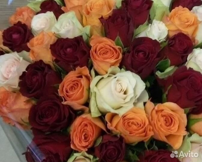 Розы Букеты Цветы