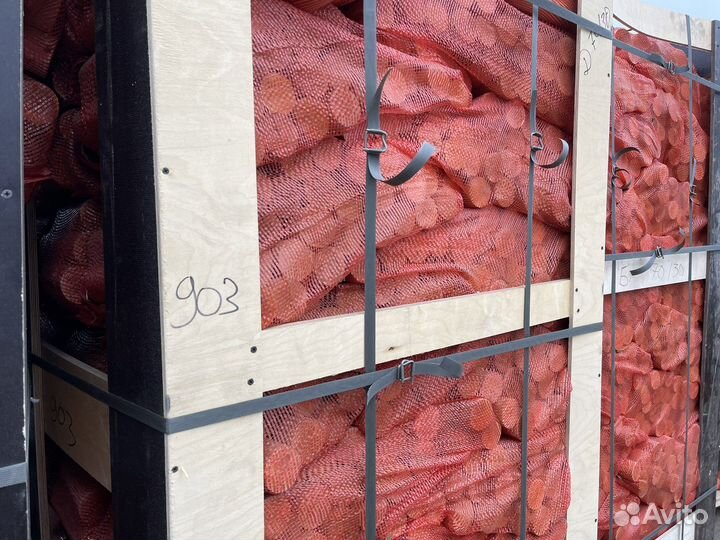 Дрова березовые в сетках