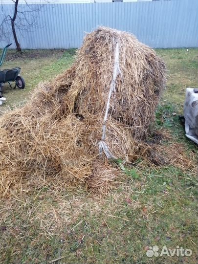 Продам солому, пакля