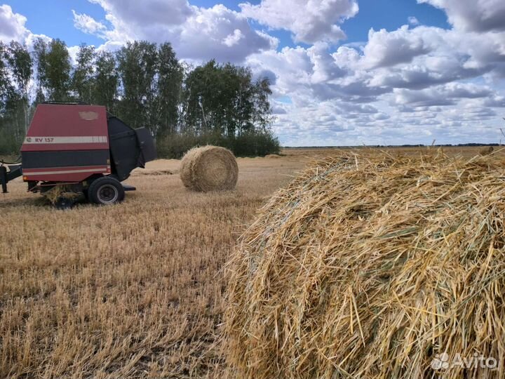 Солома гороховая и пшеничная в тюках и рулонах