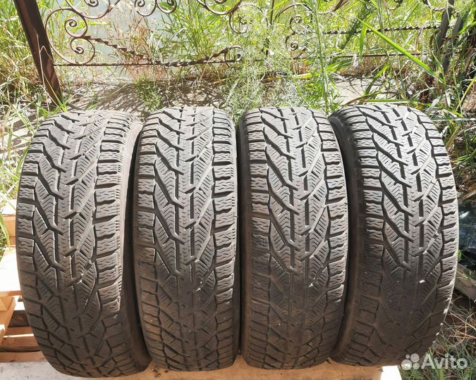 Tigar Winter 195/60 R15