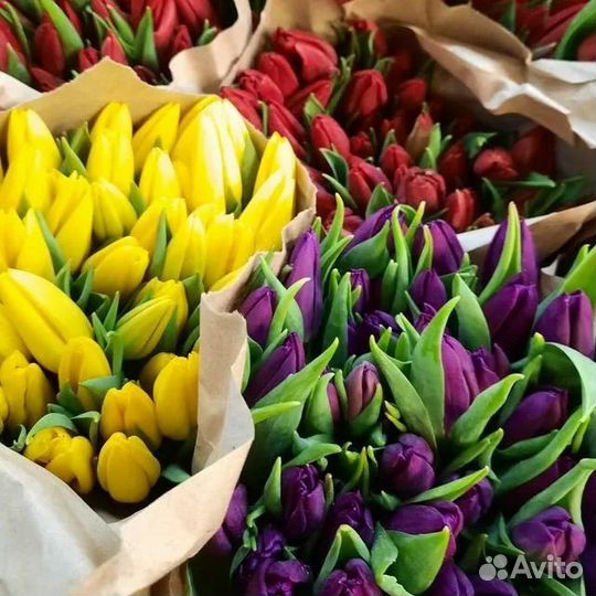 Тюльпаны к 8 марта оптом