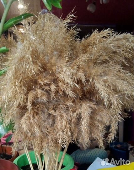 Искусственные цветы