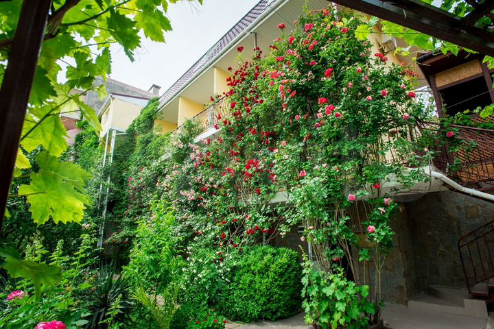 Комната 15 м², 1/4 эт.