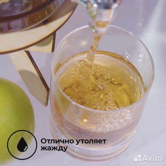 Набор для изготовления Чайного гриба с нуля