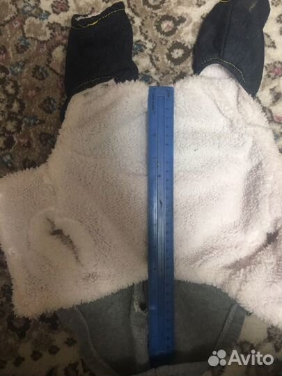 Одежда для собак