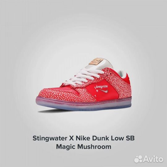 Nike Stingwater X Dunk Low SB Magic Mushroom