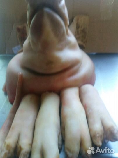 Свежее домашнее сало, свинная голова с ножками