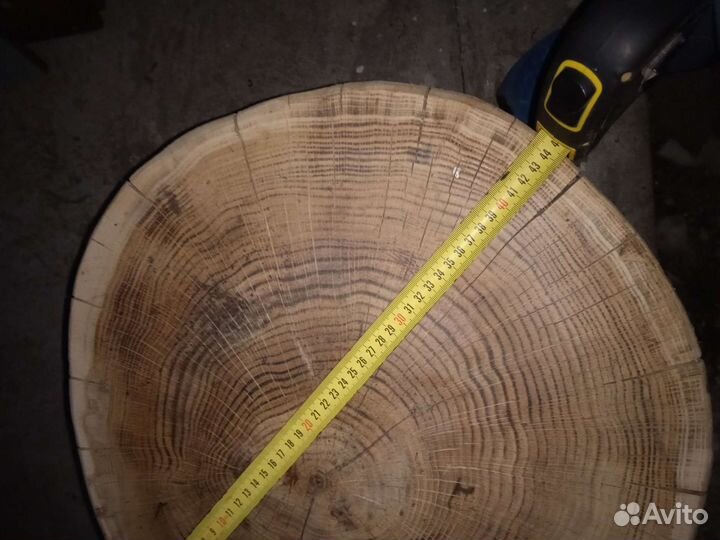 Пень дубовый