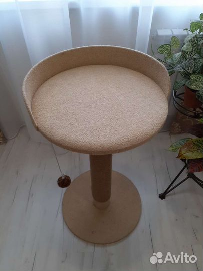 Когтеточка