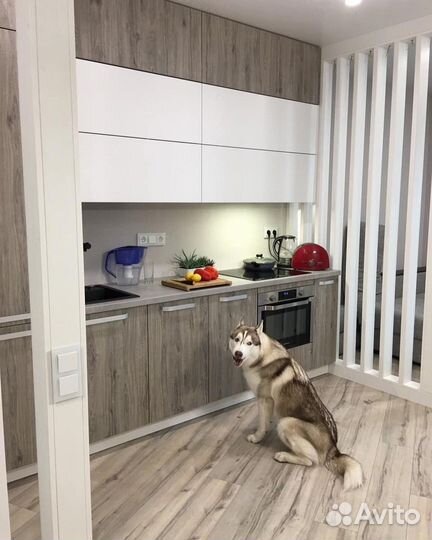 Кухня Кухонный гарнитур